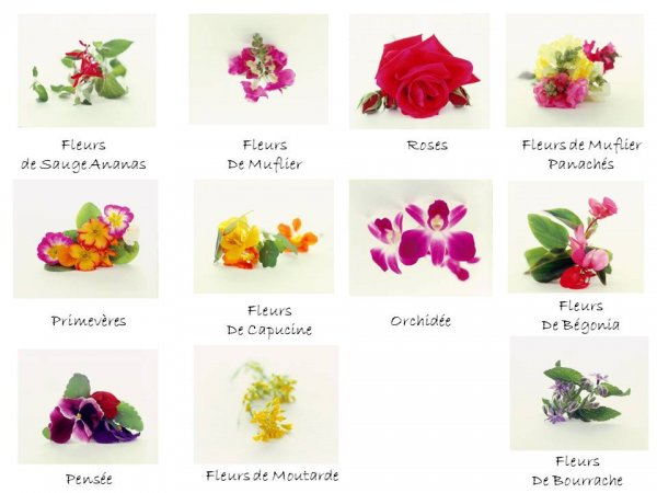 Les fleurs comestibles de Florette